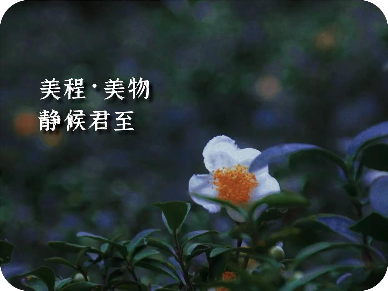 fa096094f999a5c7de444e0b4173f2af.jpg