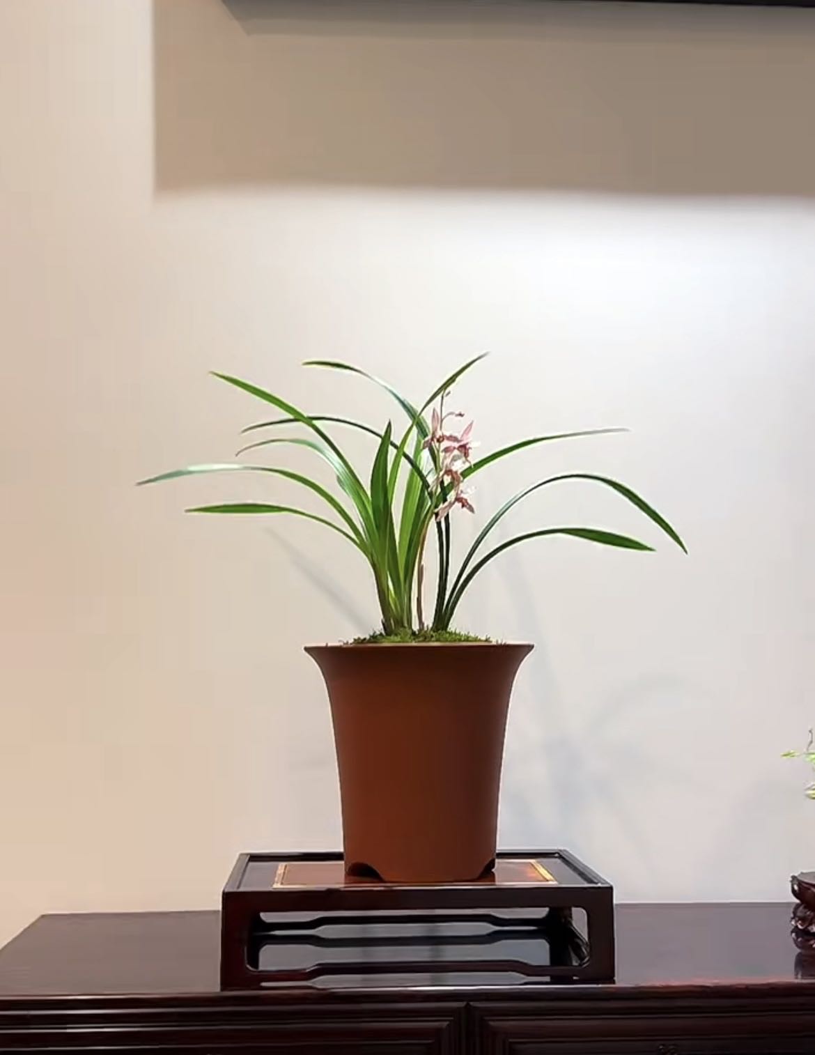 大红酸枝【皓方】香几 28*18*6.6cm
