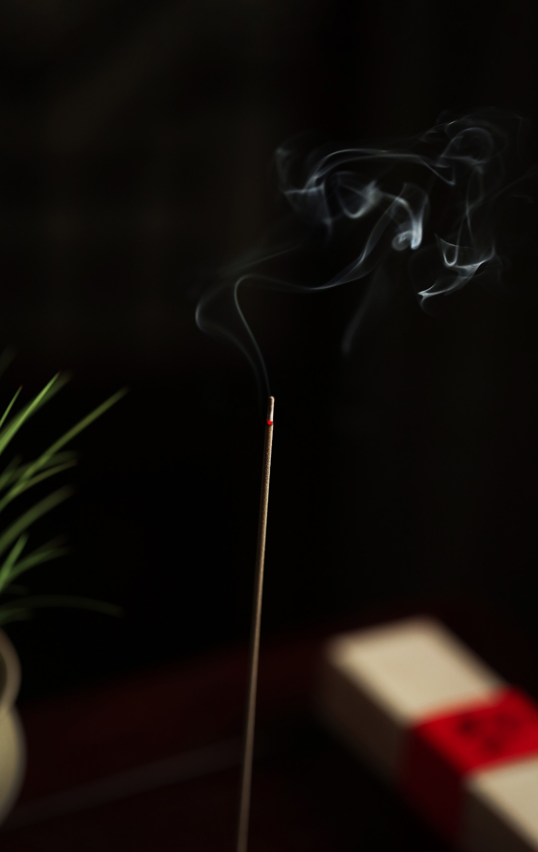 龙涎香 | 线香 10g/管 
